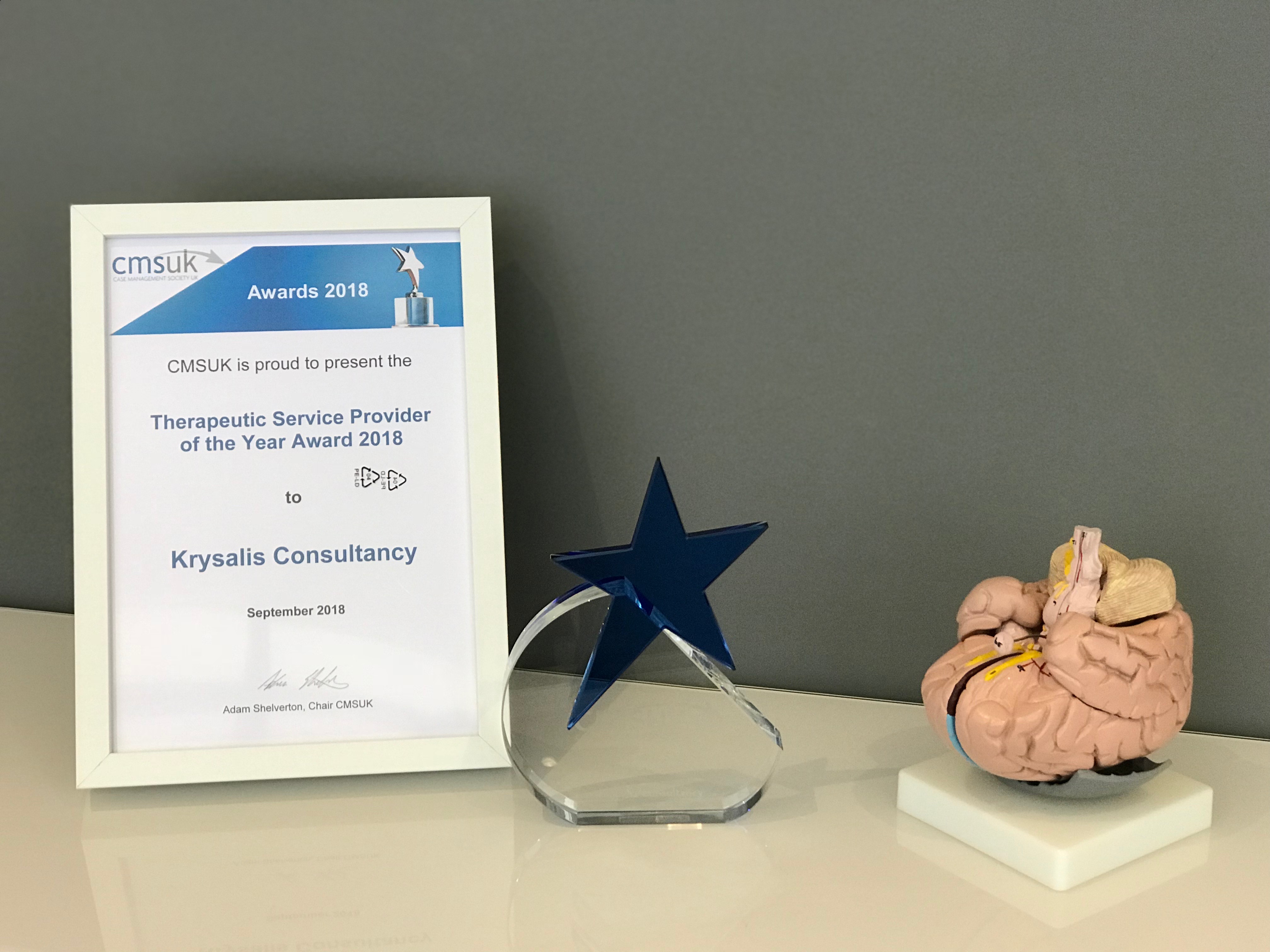 Krysalis Consultancy's framed Therapeutic Service Provider of the Year Award 2018