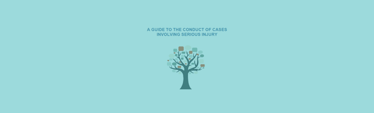 The Guide to the Conduct of Cases Involving Serious Injury